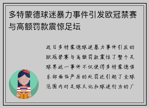 多特蒙德球迷暴力事件引发欧冠禁赛与高额罚款震惊足坛