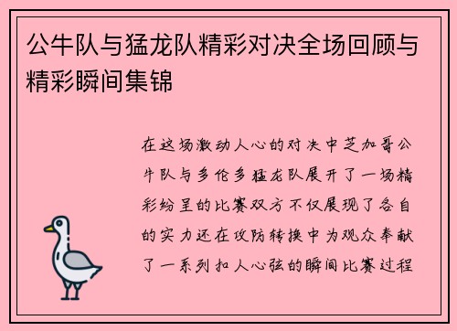 公牛队与猛龙队精彩对决全场回顾与精彩瞬间集锦