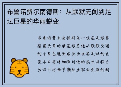 布鲁诺费尔南德斯：从默默无闻到足坛巨星的华丽蜕变