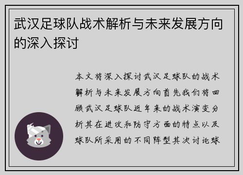 武汉足球队战术解析与未来发展方向的深入探讨