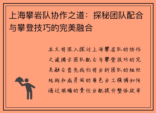 上海攀岩队协作之道：探秘团队配合与攀登技巧的完美融合