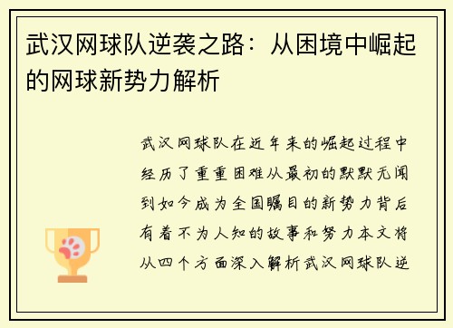 武汉网球队逆袭之路：从困境中崛起的网球新势力解析